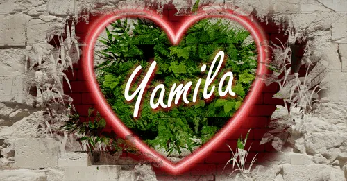 Item #68053287575525751288269231675427811746861684968250582901590729640911648587786 Media