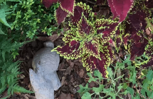 Item #53308188614165939190022800587925776763215599610313940970798170459183211610212 Media