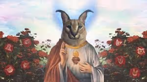 Untitled Collection #434433347