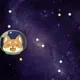 112553371740609180799850717704761306685552131758403521249302854574958400503809
