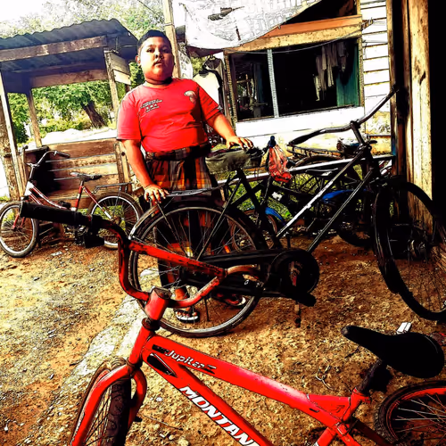 Untitled Collection #199892958