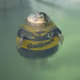 67011028783030211020951999190869961303263404786594026786113159192552314765313