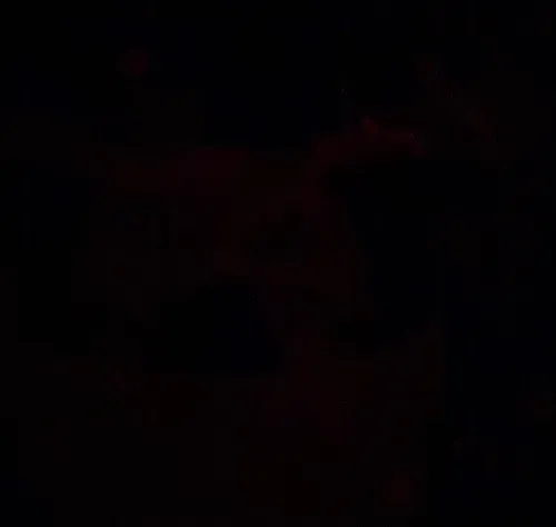 Item #81121077220667045526137009096340936931103808902154362015995235354439470546945 Media