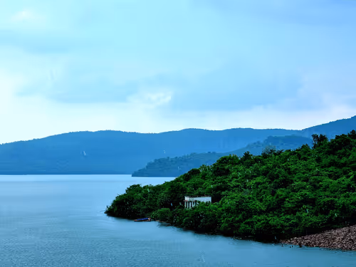 Untitled Collection #357185640