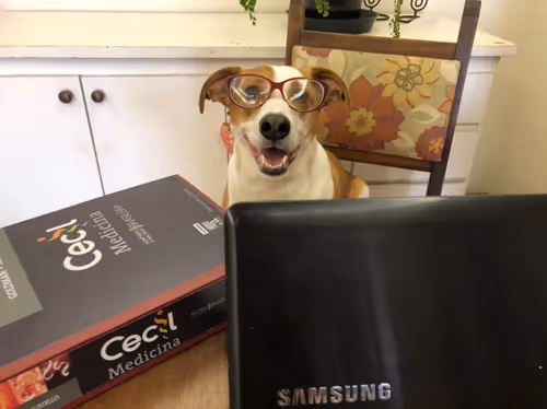 Item #94951261657889433440640425402549201589337916954067992377958453696171566170113 Media