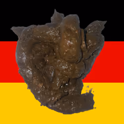 SHITTY FLAG OF GERMANY