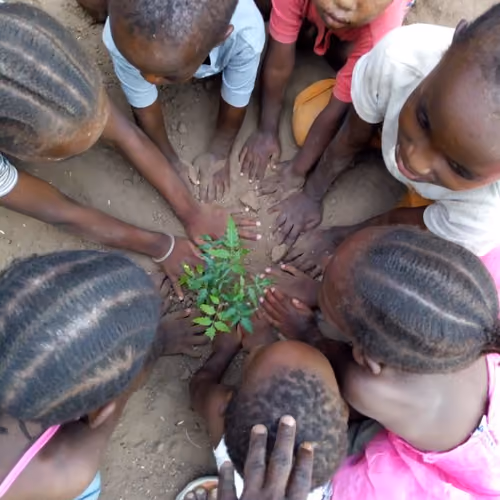 Children plant the future