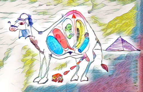 Item #60313150252905468359017695861178874472696909757842447003979935372910547435521 Media