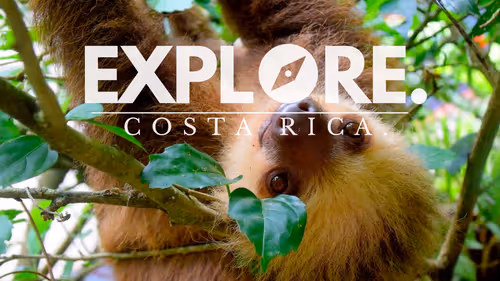 Item #55167293475857333829963200193227146355535503943447662520927477447778057060353 Media