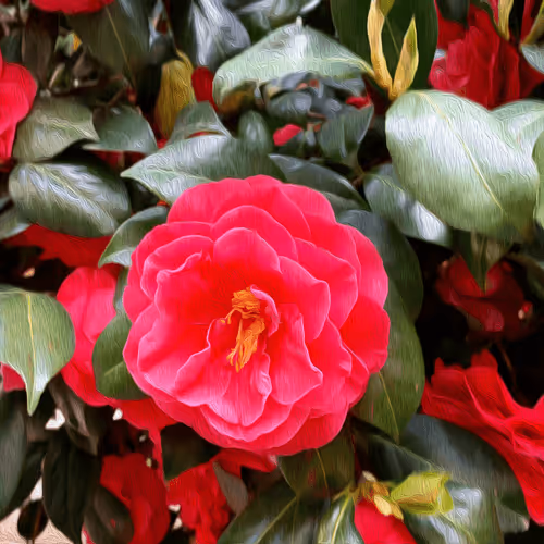 Item #54777578073613979563170910935365815103281566619064465675792765433849889947649 Media