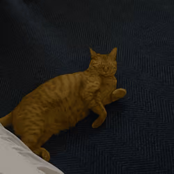 blind jjuku