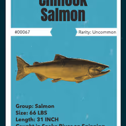 43502264269384842523243150070095810631836830099831581701628992015333106647041