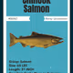 Chinook Salmon