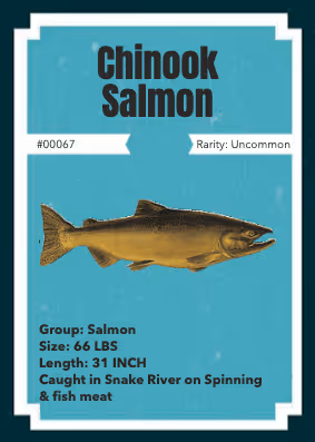 Item #43502264269384842523243150070095810631836830099831581701628992015333106647041 Media