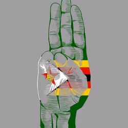 ResistaFla-Zimbabwe