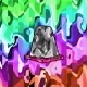 37729670070866405145673335476090045149530621819613263879563775824453127110657