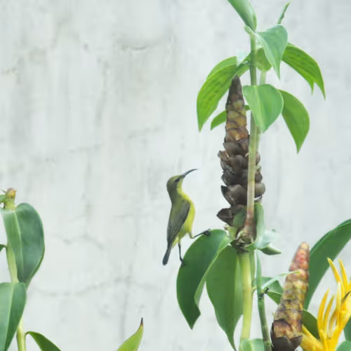 Item #94394910353456792511770389683380397167058265892134190948053464642764840894465 Media