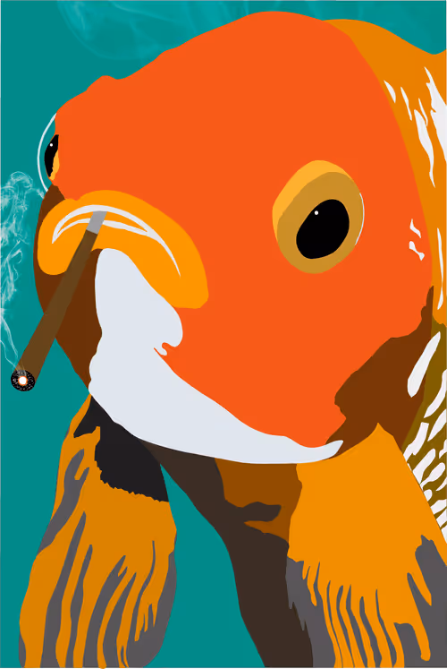 Item #46679994496108624530020148644785155104419172278486625888968681008102419464193 Media