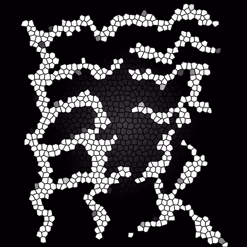 Item #112692583315393289640399895976932165051479569016209638740688331007941027037185 Media