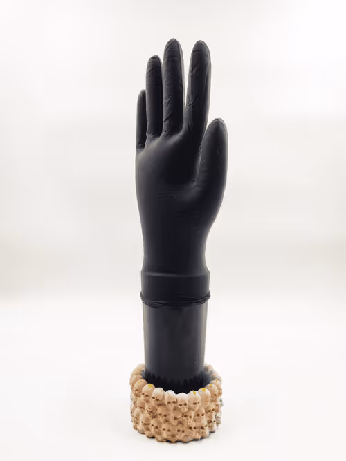 Item #73008087905076580660627439811894437084559450281014959016724922194923555389450 Media