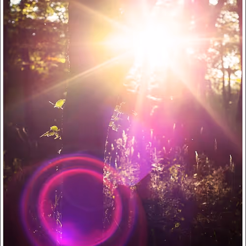 Nature Photographer 177169894