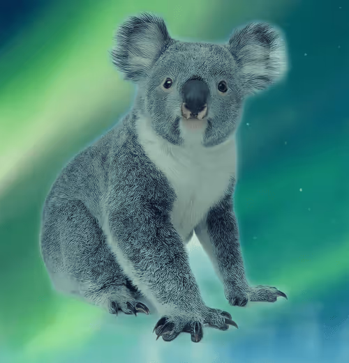 Item #75086745474347274452093740593438062832653814310012917017256883089130867654657 Media