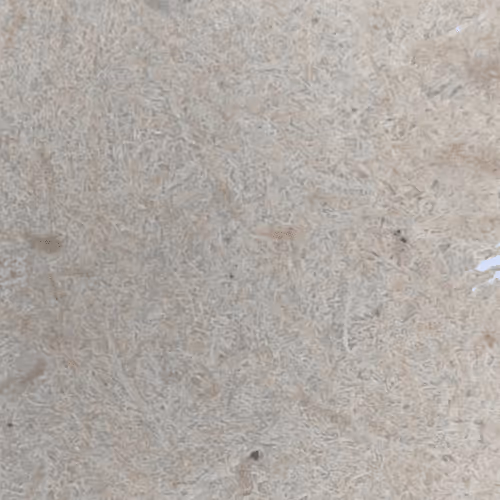 Item #48532066429417975753252471760860058958107322093698988485081806199042999320577 Media