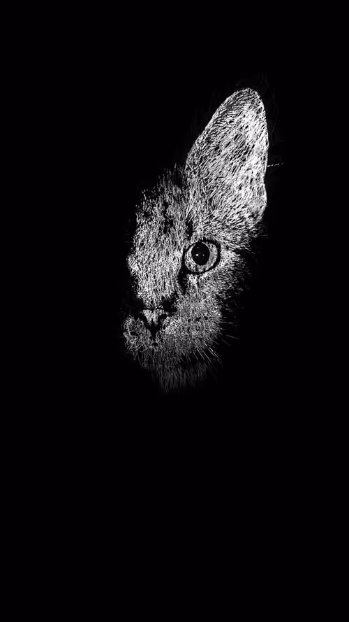 Item #20286817641922993541065929101952433978531825078991625494647867596496403693569 Media