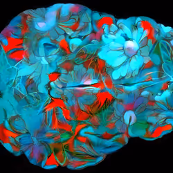 29877578668728852178902598419785793077778618348046200683544678294258827919361