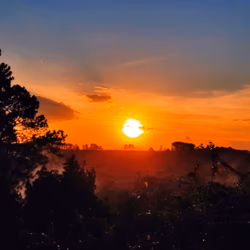 Item #76789129689388299706655966014022744743344792406865654046008114596075655921665 Media