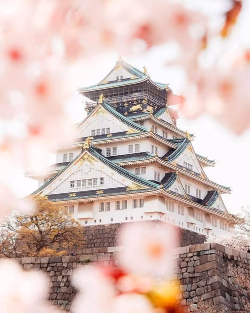 Item #2468119463308914702005443652102614178506533567319377457804557017465105678337 Media