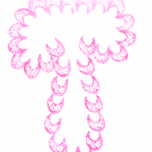 Item #114976545493241493257487804566862386491239486968085247361465236921634445590529 Media