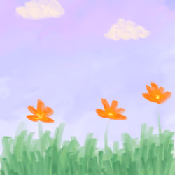 Field of Marigold