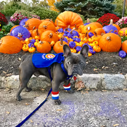 99031261785432219130552668818269695456905868997165113515571762513864789327873