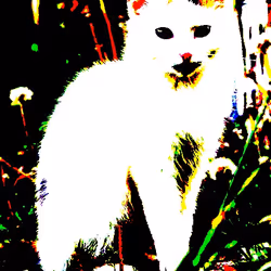 23538819986925566434507765811444276093104658907602947149672917151392905297921