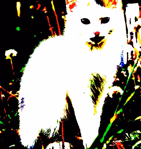 23538819986925566434507765811444276093104658907602947149672917151392905297921