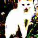 23538819986925566434507765811444276093104658907602947149672917151392905297921