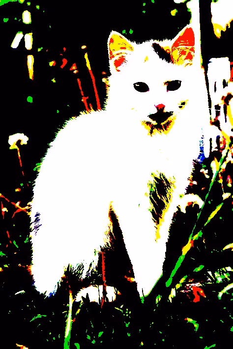 Item #23538819986925566434507765811444276093104658907602947149672917151392905297921 Media