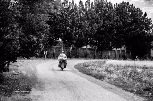 Item #88588118460762935851954819290277197949236789267554687293919040410034838175745 Media