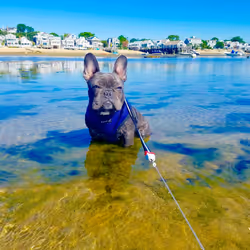 99031261785432219130552668818269695456905868997165113515571762433600440500225