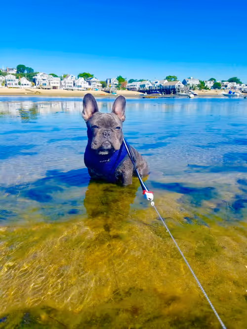 Item #99031261785432219130552668818269695456905868997165113515571762433600440500225 Media