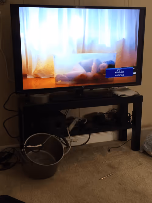 Item #68301362487768569467388456571489542654081222711265757815710535641112611127301 Media