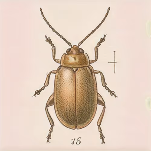 Item #58241160855422744817468407088196322100109565521561100950236904511247692595201 Media