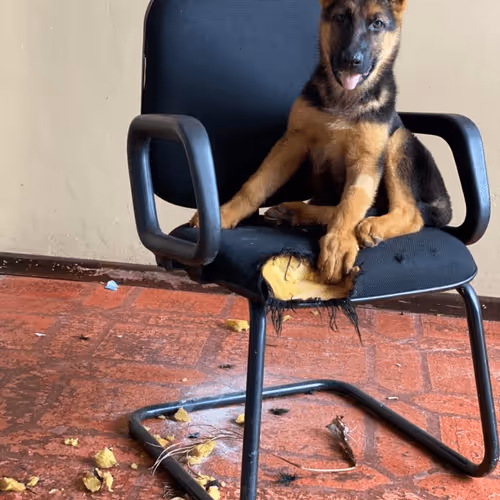 Item #94951261657889433440640425402549201589337916954067992377958453690674008031233 Media