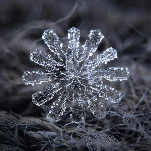 Item #39629935389522237345664437028542438492977381533873015043488418137690769195015 Media