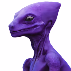 11482529296089494478294128754256019864430050427337939467612742354203481998312