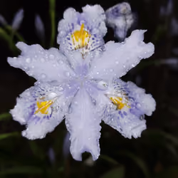the beauty of nature