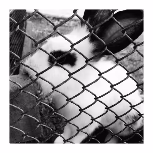 Item #78926493058180902224951420418338520494143290950102848006872373394644251181057 Media