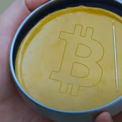 BTC squid game cookie
