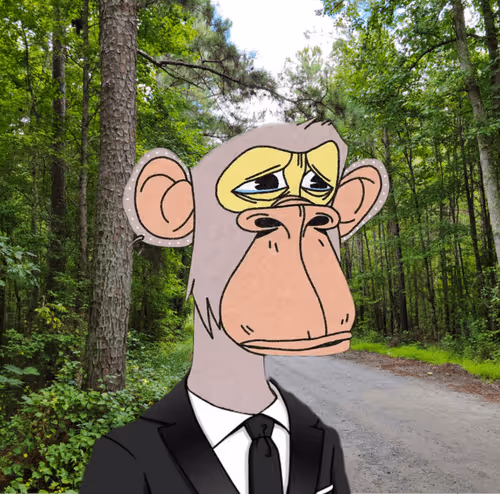 Item #109066165228494868984123658993937284509999328721461692091369406494063093350410 Media